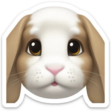 Mini lop bunny face white with patches of brown and heart shaped patch on nose  sticker