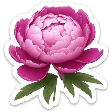 peony sticker