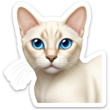 White Flame point Siamese cat sticker
