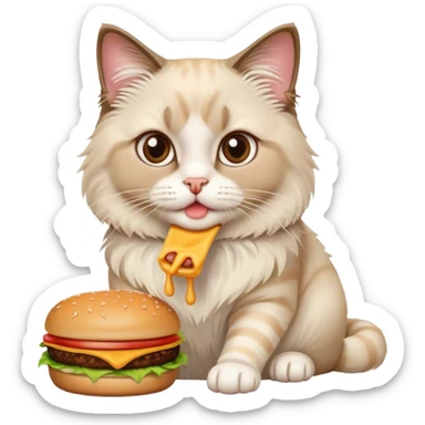 Cute Ragdoll cat eating a burger and fries  sticker