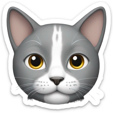 Gray cat with white paws and neck sticker
