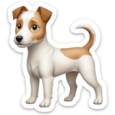 a full body white parson russell looking dog the size of a kelpie with light brown ears and a light brown patch on one eye and a large snout sticker