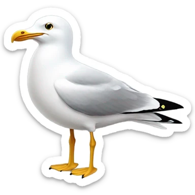 Seagull sticker