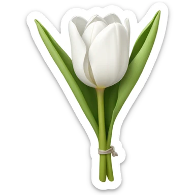 white tulip bouquet  sticker