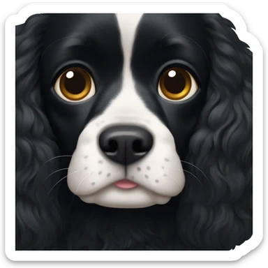 completely black small king spaniel with black fur on his whole face and white fur on chest sticker