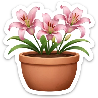 light pink lily flowers in a clay pot sticker