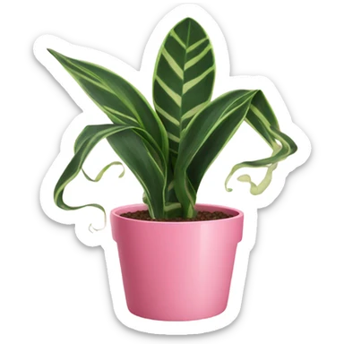 Snake plant in pink pot sticker
