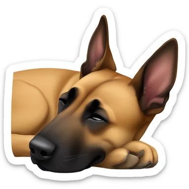 Belgian malinois is sleeping sticker