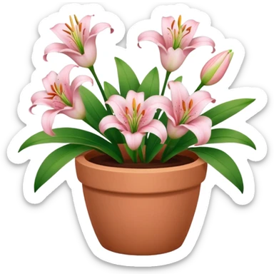 light pink lily flowers in a clay pot sticker