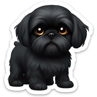 All black Black shih tzu on back sticker