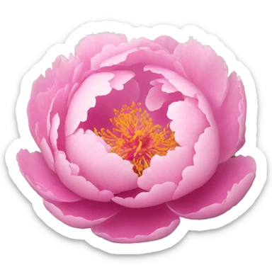 Pink peonies  sticker