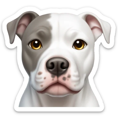 White pitbull with grey spot over right eye one blue and one brown eye sticker