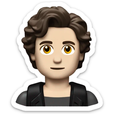 TIMOTHÉE CHALAMET lego full body sticker