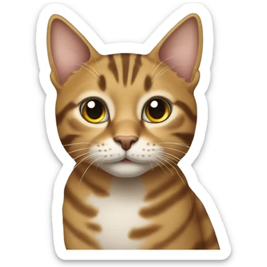 Tabby cat sticker