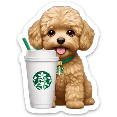 golden maltipoo drinks Starbucks coffee sticker