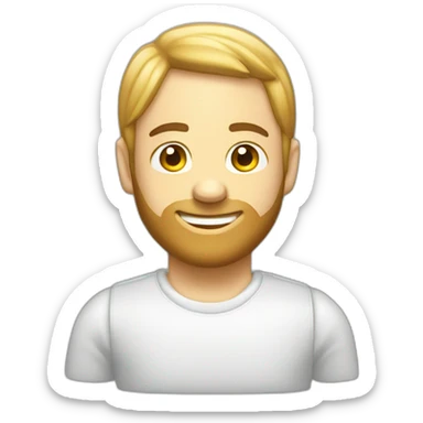 2004 White toyota tundra sticker