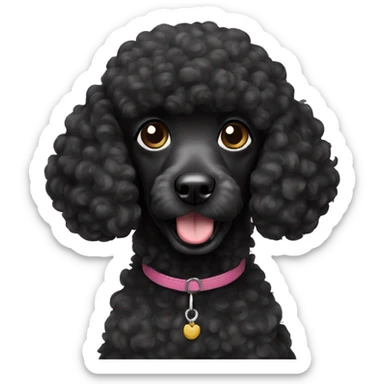 black poodle sticker