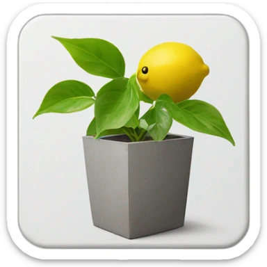 lemon Epipremnum aureum on a cement square pot sticker