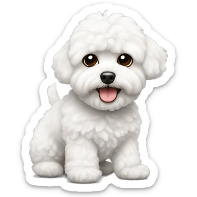 White maltipoo with black ear fur sticker