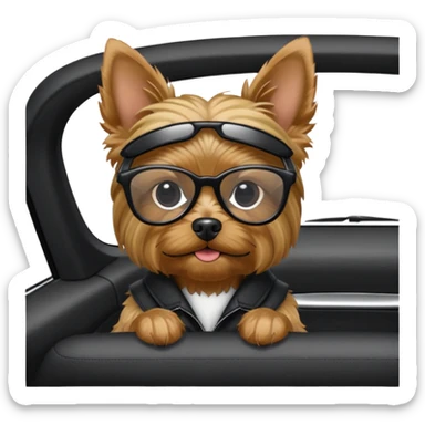 Yorkshire Terrier in Black Glasses in a BMW Car sticker