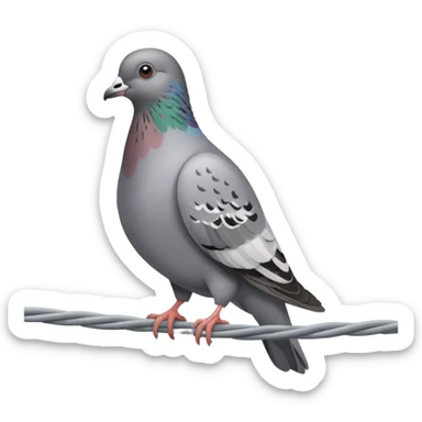 Pigeon sticker