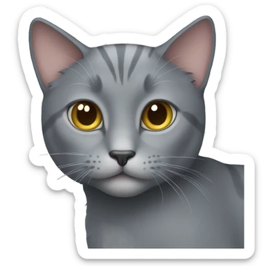 gray cat sticker