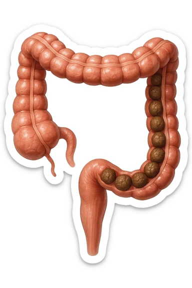 intestino umano anatomico, iperrealistico 4k, con feci a palline sticker