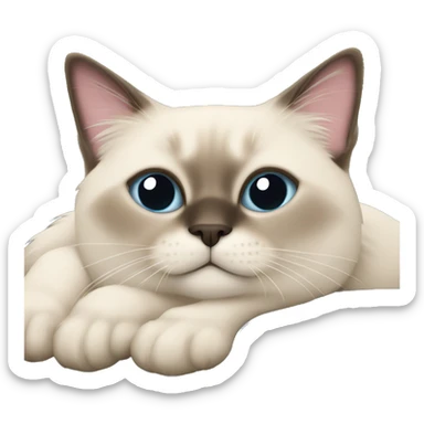 Fluffy Siamese cat laying on couch with pillow behind its head sticker