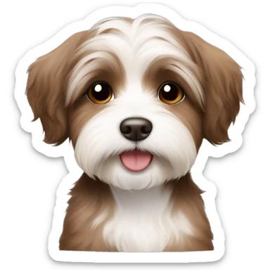 Brown Short Hair havanese puppy  sticker