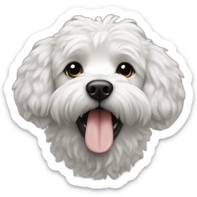 Caniche avec tâches blanc et noir qui tire la langue sticker