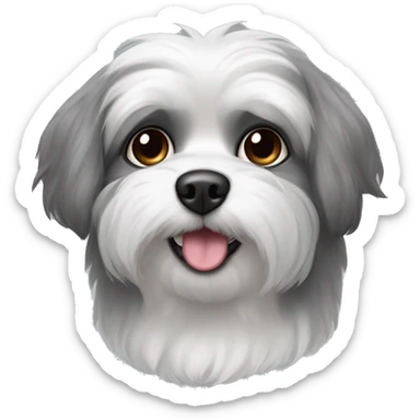 White shitzu crossbreed with gray spitz with black ears and with gray higlights in them black nouse and black whiskers sticker