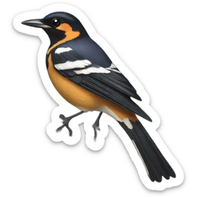varied thrush magpie sticker