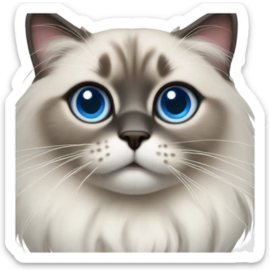 Ragdoll with blue eyes wearing a christmas sweater sticker