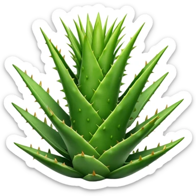 aloe vera sticker