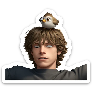 boy with bird on head sticker