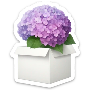 faded hydrangea from pink to purple inside white box sticker