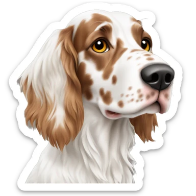 White and Brown english setter  sticker