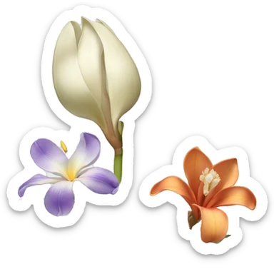 magnolia flower and iris flower and yucca sticker