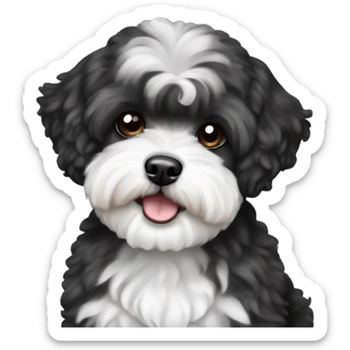 Black and white maltipoo sticker