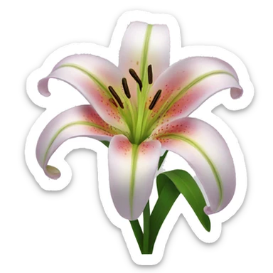 Lily flower sticker