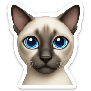 Siamese cat with blue eyes who is chunky  sticker