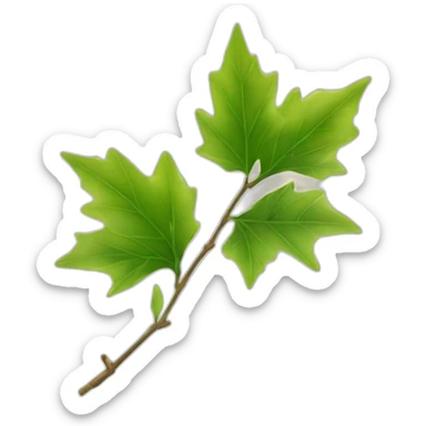 Une feuille d’érable japonais verte sticker
