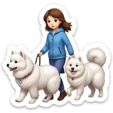 Brown-haired girl walks a Samoyed sticker