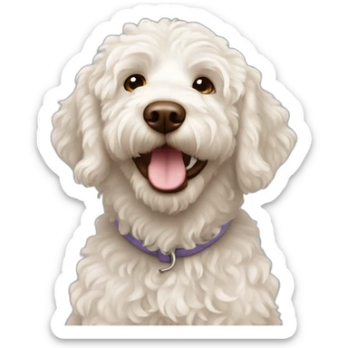 curly white labradoodle with brown nose sticker