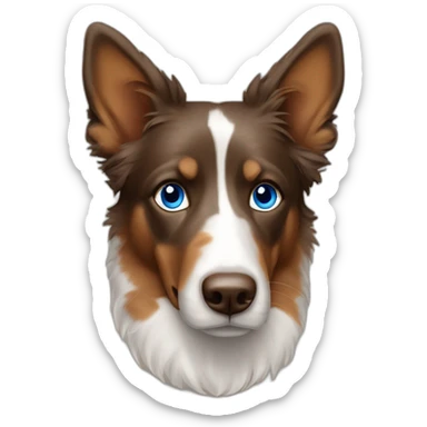 Berger australien brown tricolore blue eyes sticker