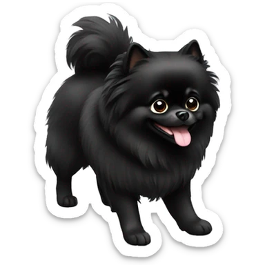Dog black pomeranian sticker