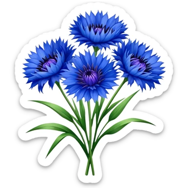 luxuriant, big bouquet Cornflower, stem, leaf sticker
