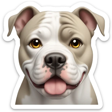 American bully dog sticker