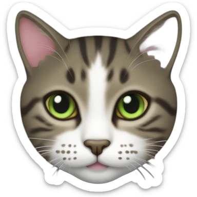 a dark tabby cat with a white face markings, light pink nose, and only one eye, which is green sticker