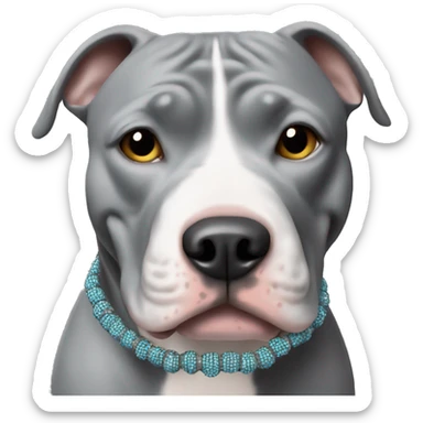 gray pitbull wearing a beaded friendship bracelet  sticker